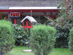 Wild bird feeder just outside Cafe