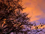 Winter sunset