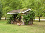Our woodshed